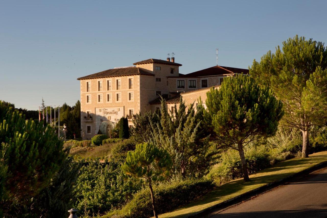 Hotel Torremilanos Аранда-де-Дуэро Экстерьер фото